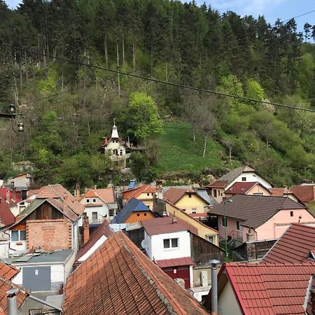 Casa Mountain View Villa Brassó Kültér fotó