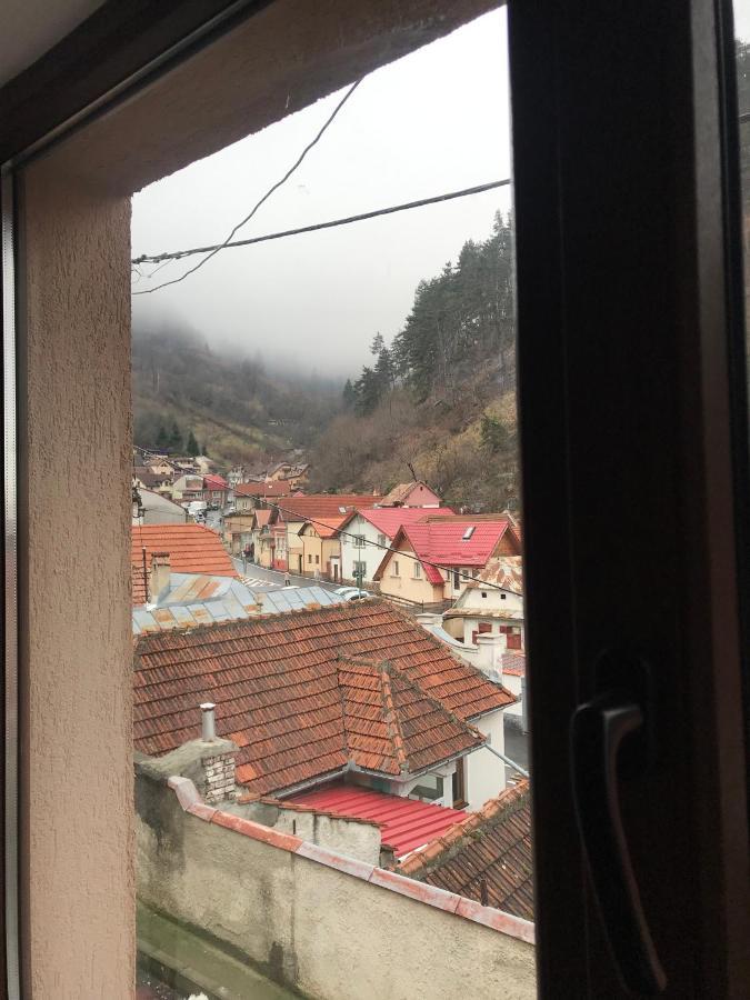 Casa Mountain View Villa Brassó Kültér fotó