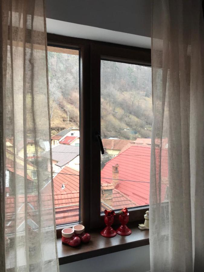 Casa Mountain View Villa Brassó Kültér fotó