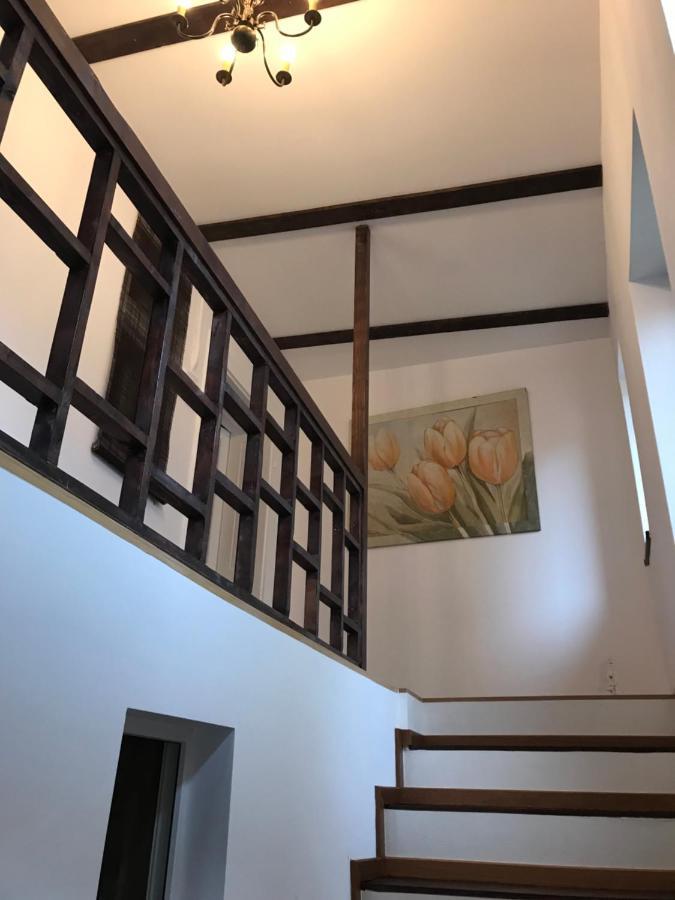 Casa Mountain View Villa Brassó Kültér fotó