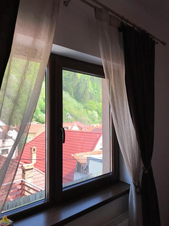 Casa Mountain View Villa Brassó Kültér fotó